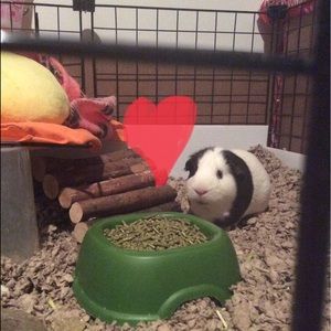 Meet your Posher, Michelle